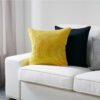 Cushion